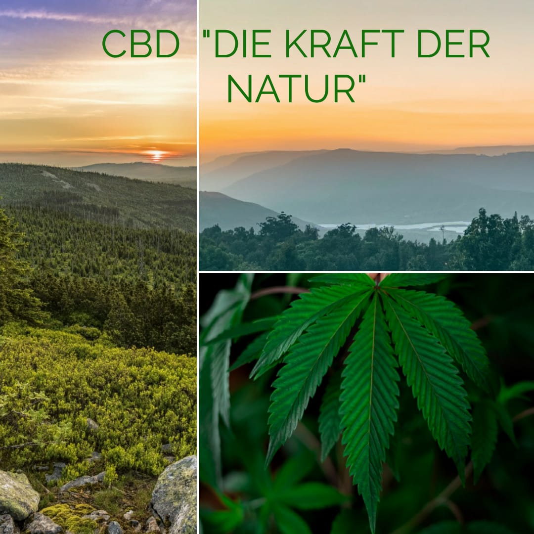CBD Intensive Cream